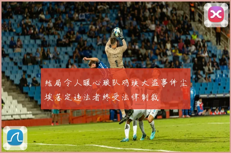 结局令人暖心狼队鸡块大盗事件尘埃落定违法者终受法律制裁